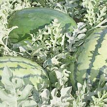 山东莒县农副产品购销处散装食品的特色与优势